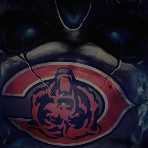 Chicago Bears graphic bear Hoodie Men’s XL - Picture 10 of 12